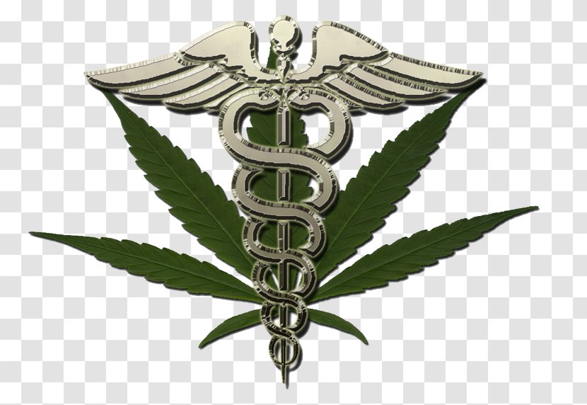 Medical Cannabis Medicine Dispensary Cannabidiol - Epilepsy Transparent PNG