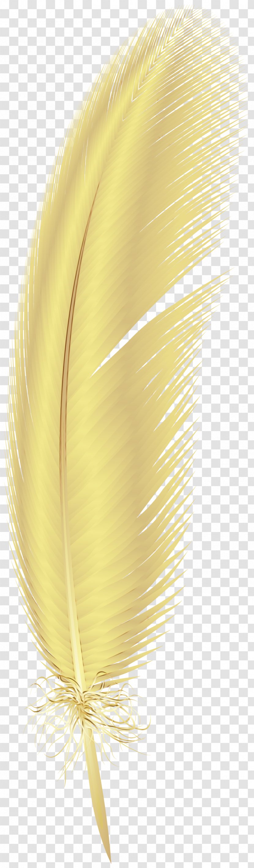 Feather - Quill Fashion Accessory Transparent PNG