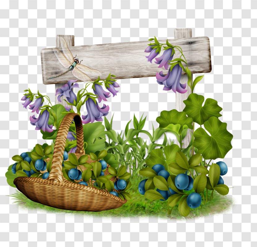 Floral Design Flowerpot Flowering Plant Transparent PNG