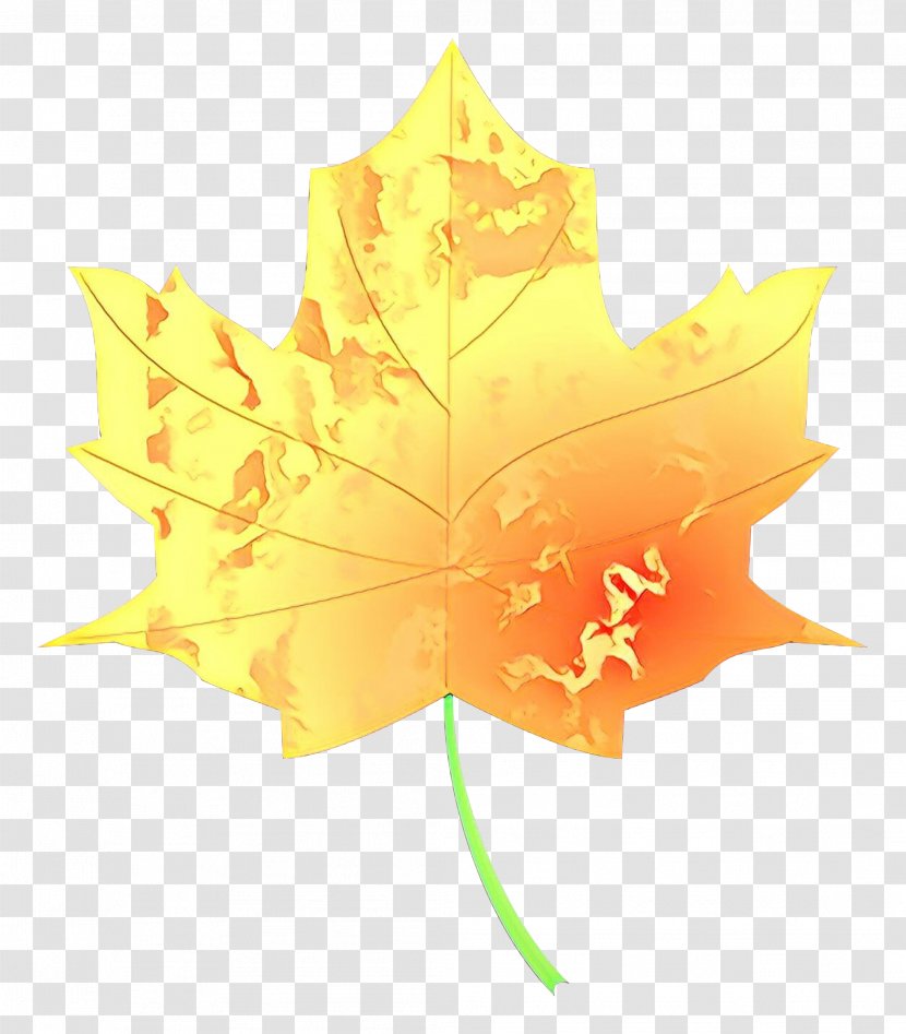 Maple Leaf - Orange Transparent PNG