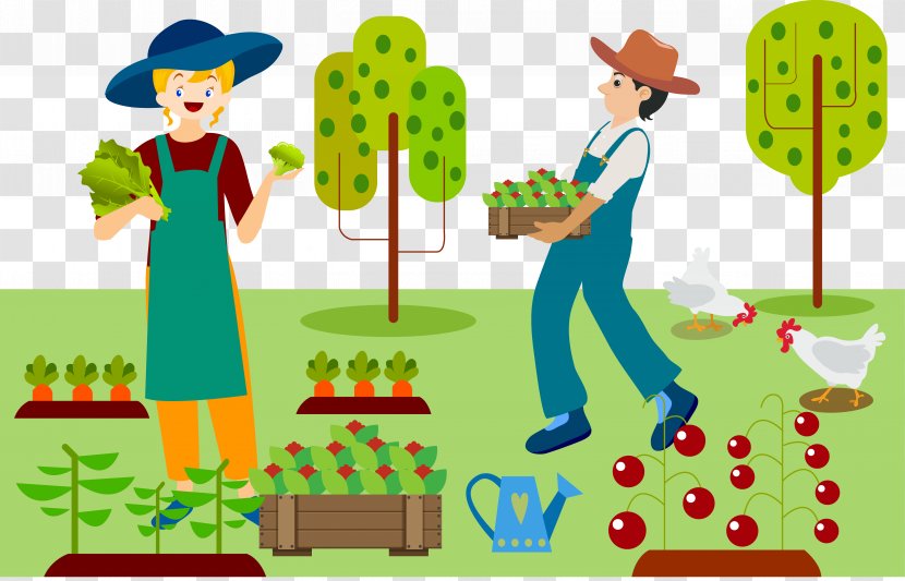 Agriculture Farmer Drawing Organic Farming - Picking Vegetables Transparent PNG
