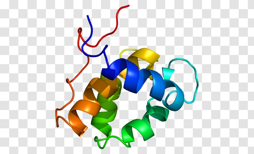 EPS15 Protein Epidermal Growth Factor Receptor Gene - Splice Vector Transparent PNG