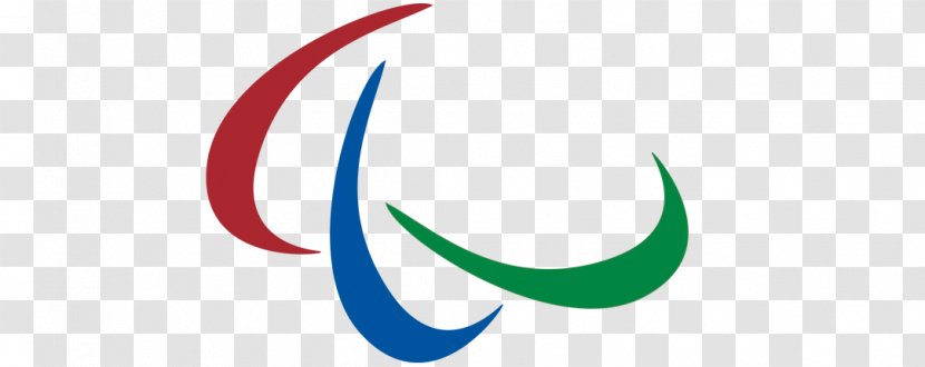 2012 Summer Paralympics 2018 Winter Paralympic Games 2010 International Committee - Vai Brasil Transparent PNG