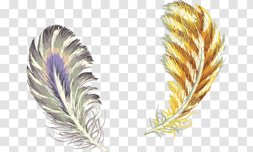 Feather Samsung Galaxy Color Gold - Mobile Phones Transparent PNG