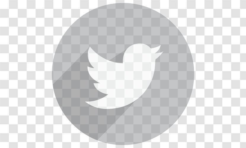 Tweetbot BlackBerry 10 - Beak - Small Parts Transparent PNG