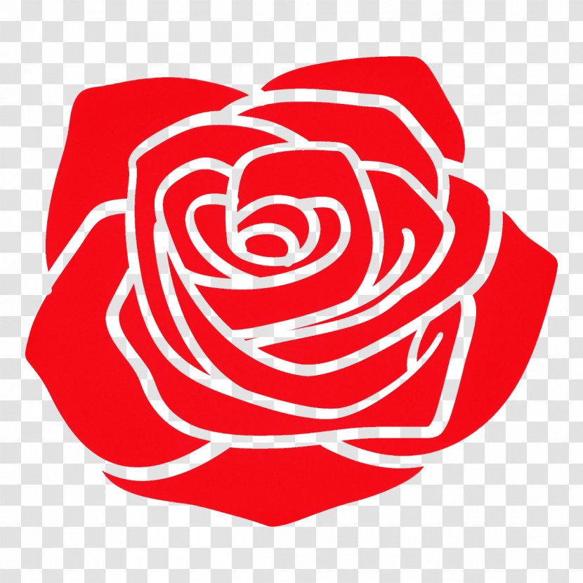 Garden Roses - Rose Family - Plant Flower Transparent PNG
