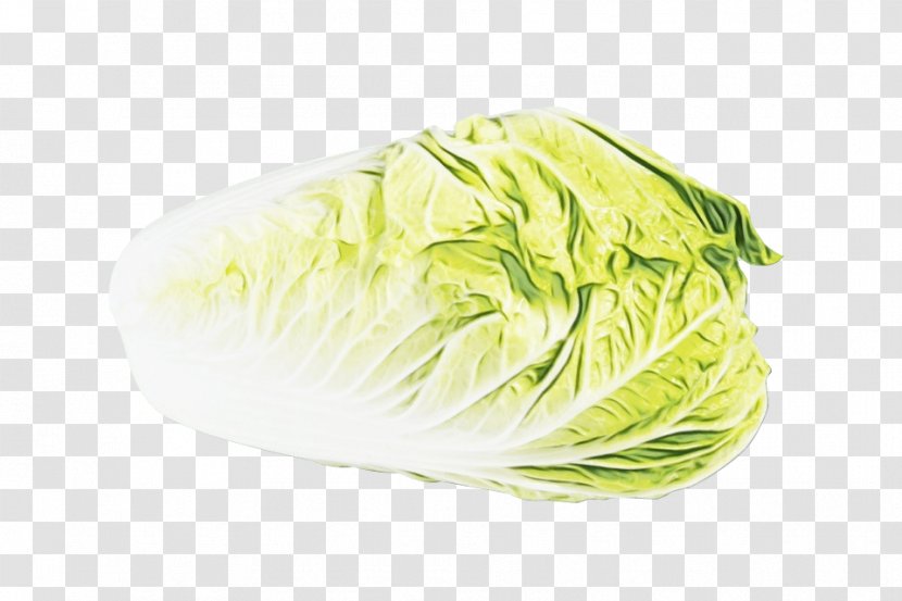 Cabbage Vegetable Iceburg Lettuce Leaf Wild - Paint - Chinese Side Dish Transparent PNG