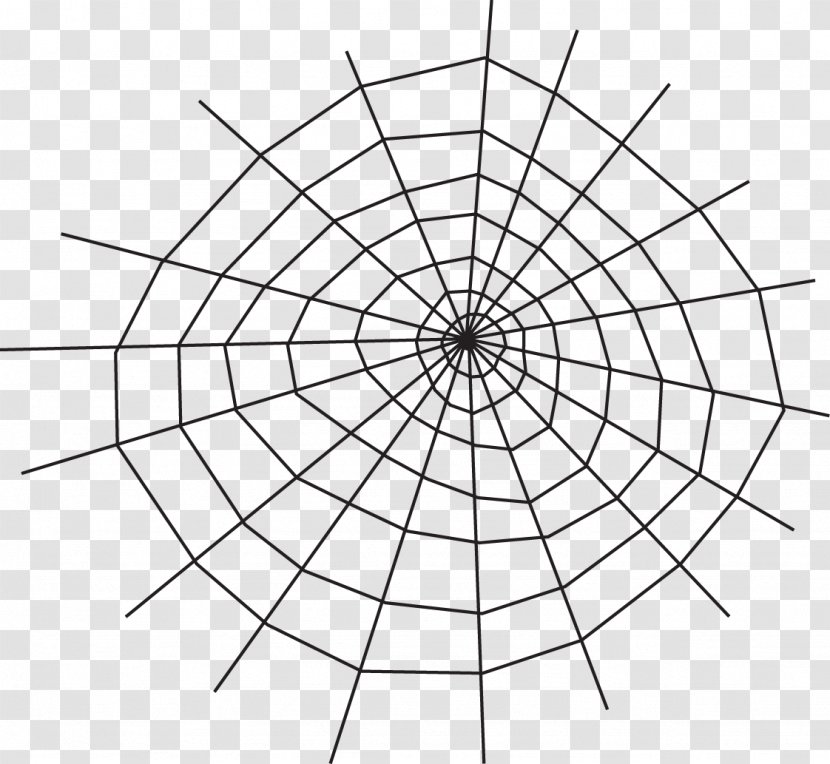 Cartesian Coordinate System Polar Graph Of A Function Paper Chart - Graphing Calculator - Spider Web Transparent PNG