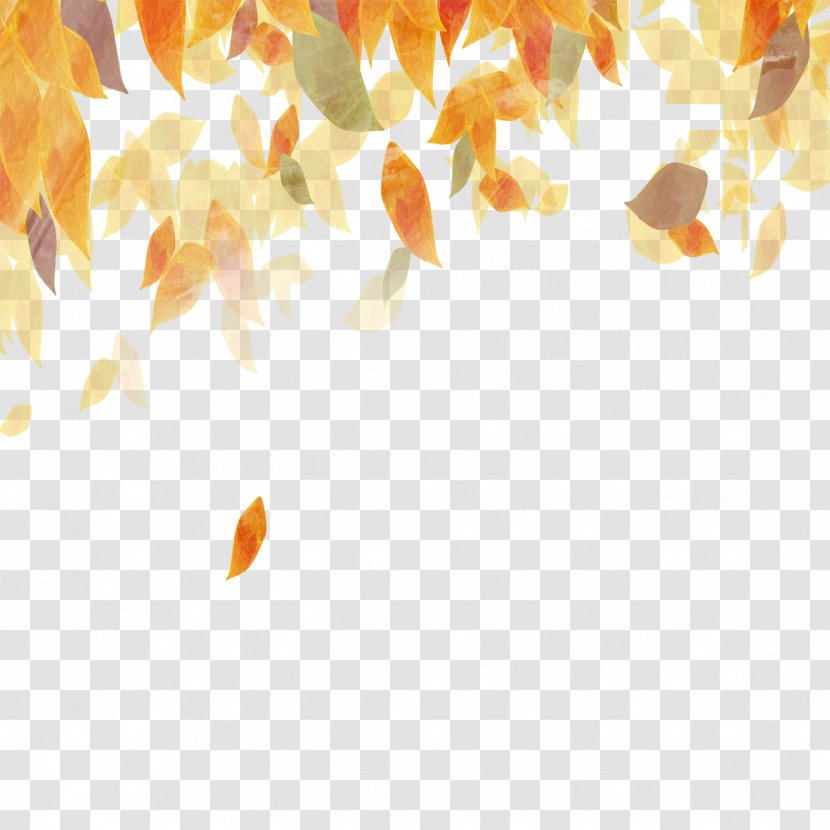 Colored Autumn Leaves - Color - Deciduous Transparent PNG