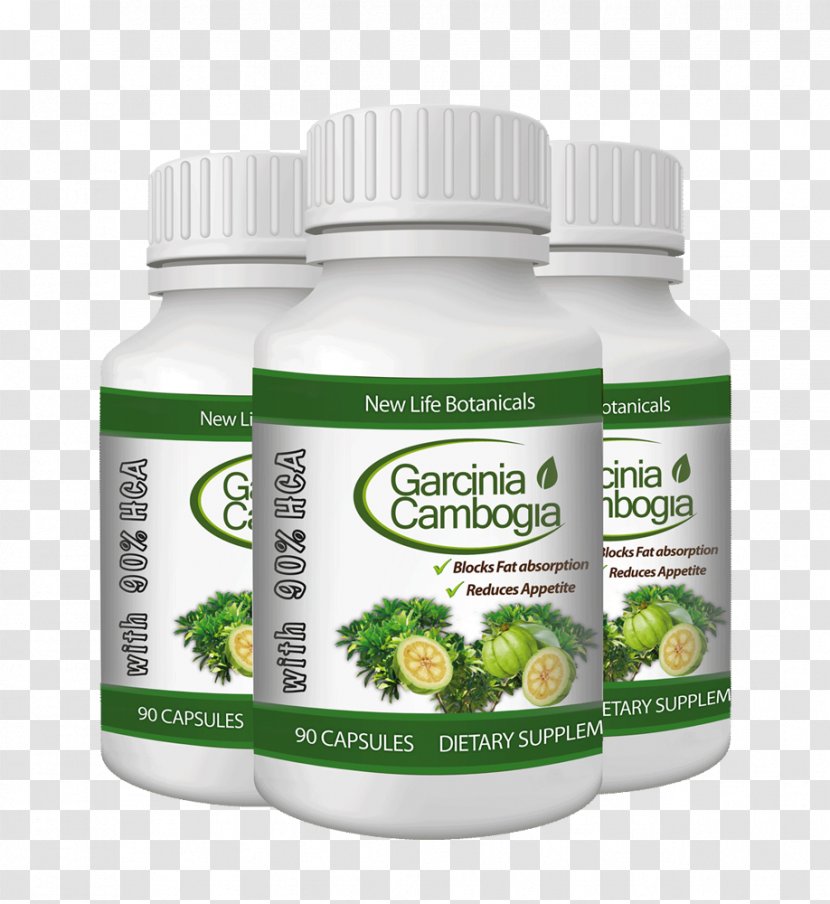 Garcinia Cambogia Asam Gelugur Hydroxycitric Acid Indica Extract Transparent PNG