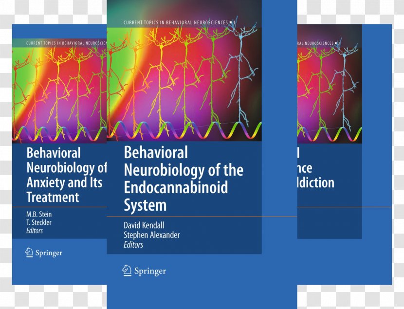 Behavioral Neuroscience Endocannabinoid System Biology - Display Advertising - Observe Order And Establish Social Morality Transparent PNG