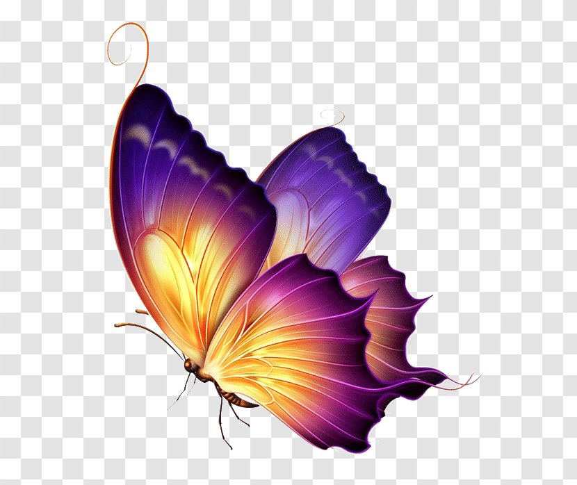 Butterfly Clip Art Tattoo Purple - Group Of Transparent PNG