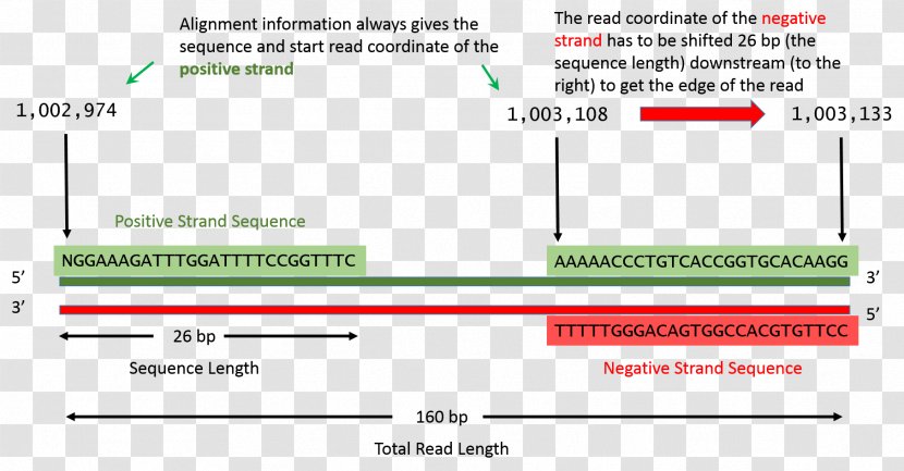 Document Line Green Angle Computer Program - Positive Display Transparent PNG