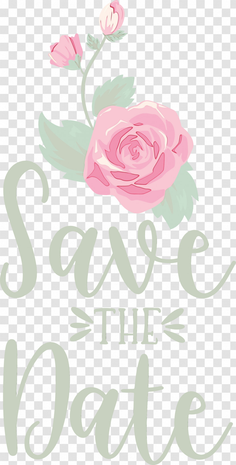 Floral Design Transparent PNG