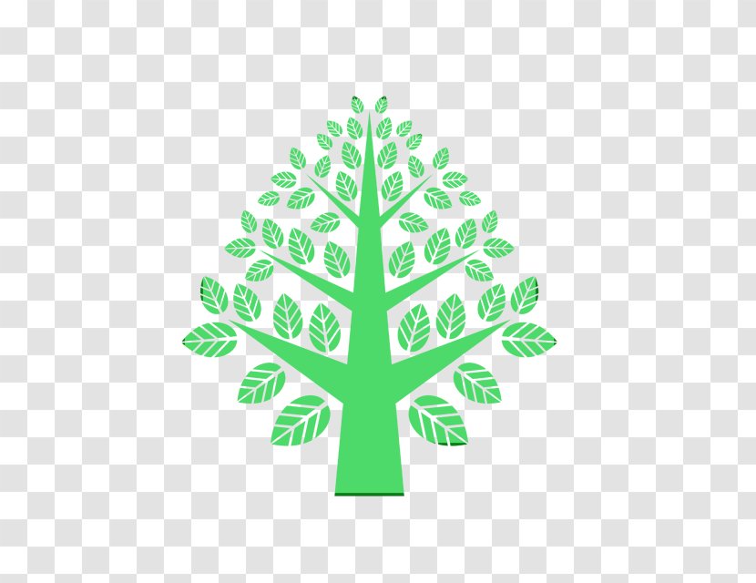 Green Leaf Tree Plant Logo - Paint - Pine Family Transparent PNG