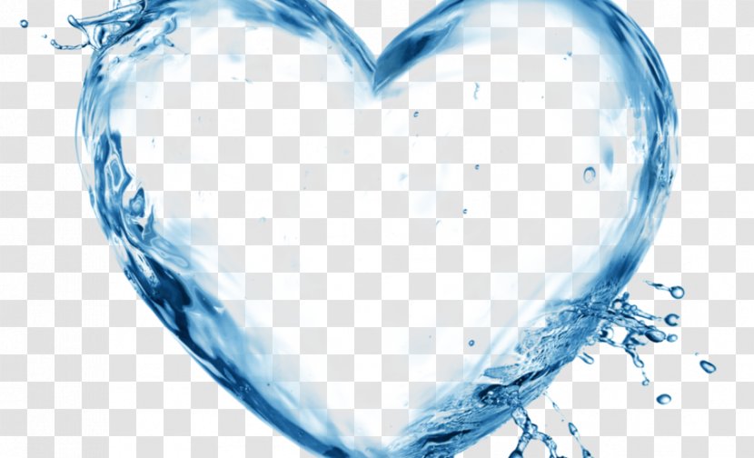 Drinking Water Clip Art - Tree Transparent PNG