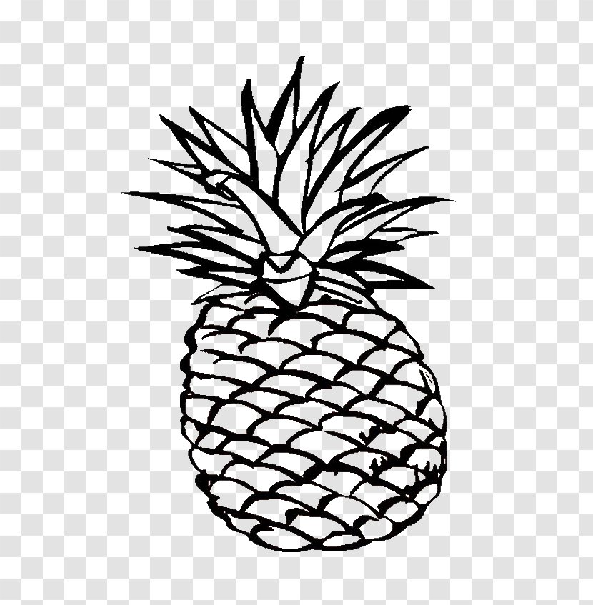 Coloring Book Pineapple Fruit Adult Image - Flowering Plant Transparent PNG