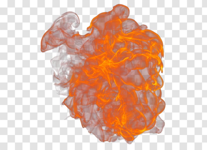Organism Orange S.A. Transparent PNG