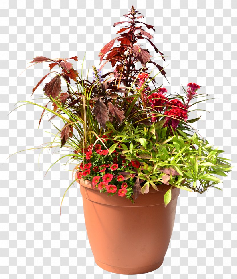 Plant Flowerpot Flower Box Homestead Gardens - Inc - Hanging Transparent PNG