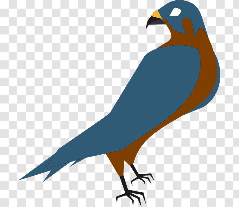 Hawk Free Content Clip Art - Tail - Raptor Bird Cliparts Transparent PNG