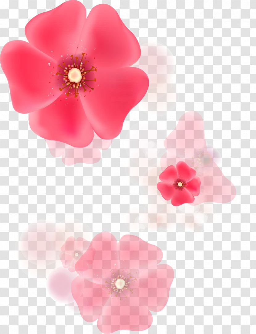 Flower Petal Clip Art - Animation - Pink Transparent PNG