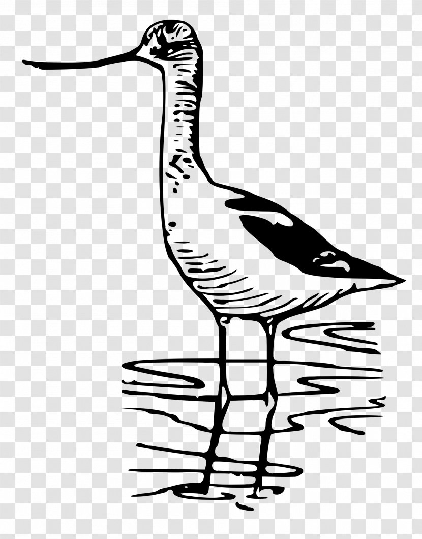 Goose Bird Duck Wader Clip Art Transparent PNG