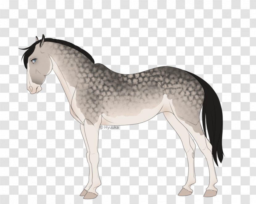 Mustang Foal Stallion Mare Colt - Bridle Transparent PNG