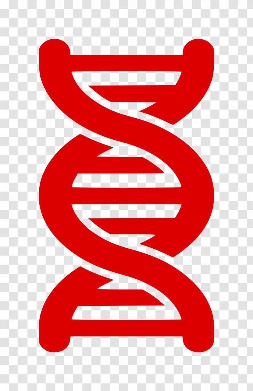 DNA Nucleic Acid Double Helix Black And White Clip Art Transparent PNG