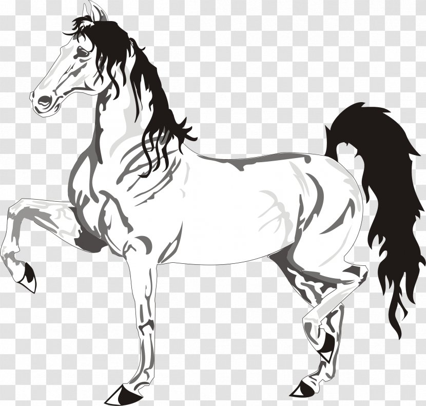 Mustang Stallion Black And White Mane Sketch - Colt Transparent PNG