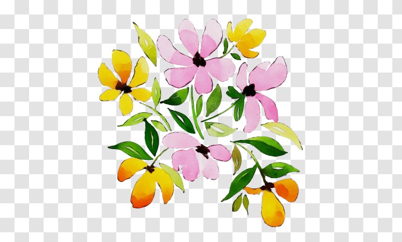 Watercolor Flower Background - Paint - Impatiens Transparent PNG