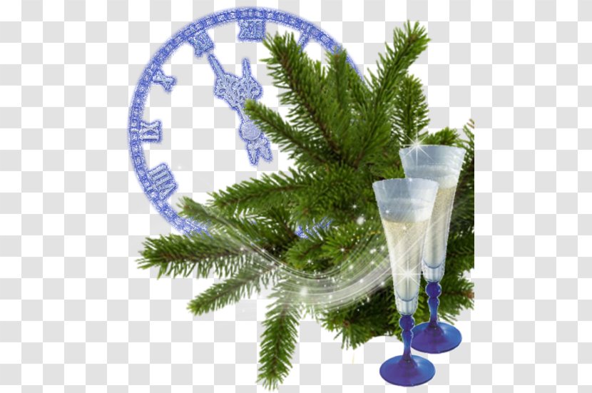 Christmas Ornament Spruce Alcoholic Drink Alcoholism - Fir Transparent PNG