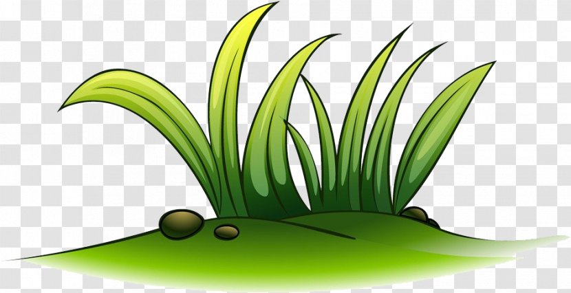 Clip Art Illustration Silhouette Drawing - Botany - Floral Cartoon Grass Transparent PNG