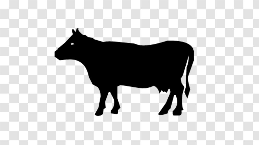 Beef Cattle Angus Dairy Calf - Horn - Cow Transparent PNG