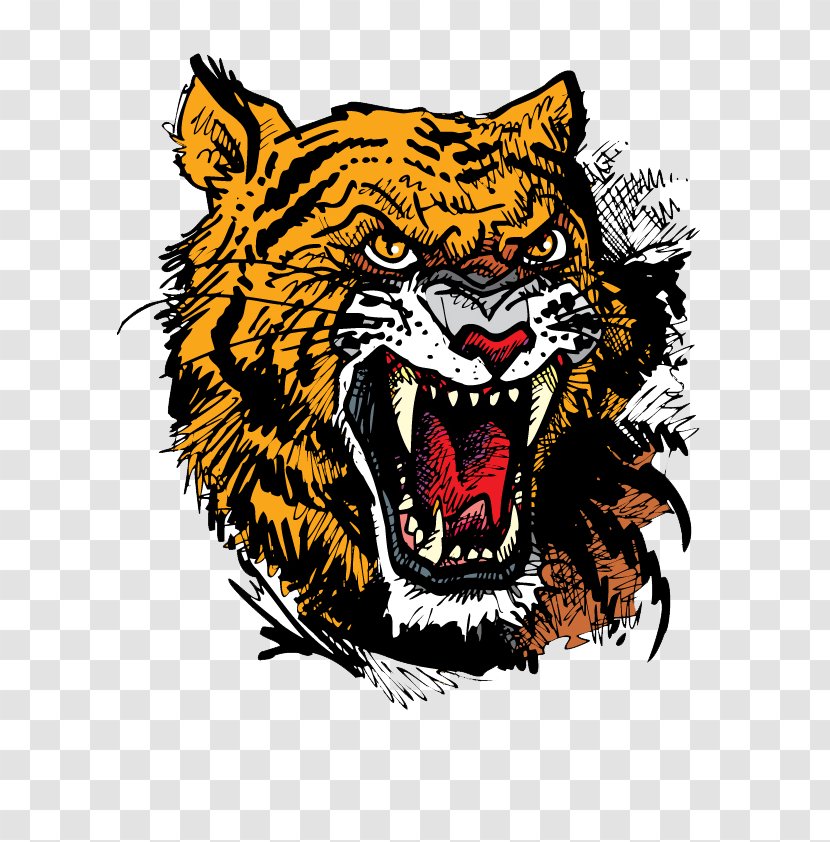 Tiger Felidae Clip Art - Carnivoran Transparent PNG