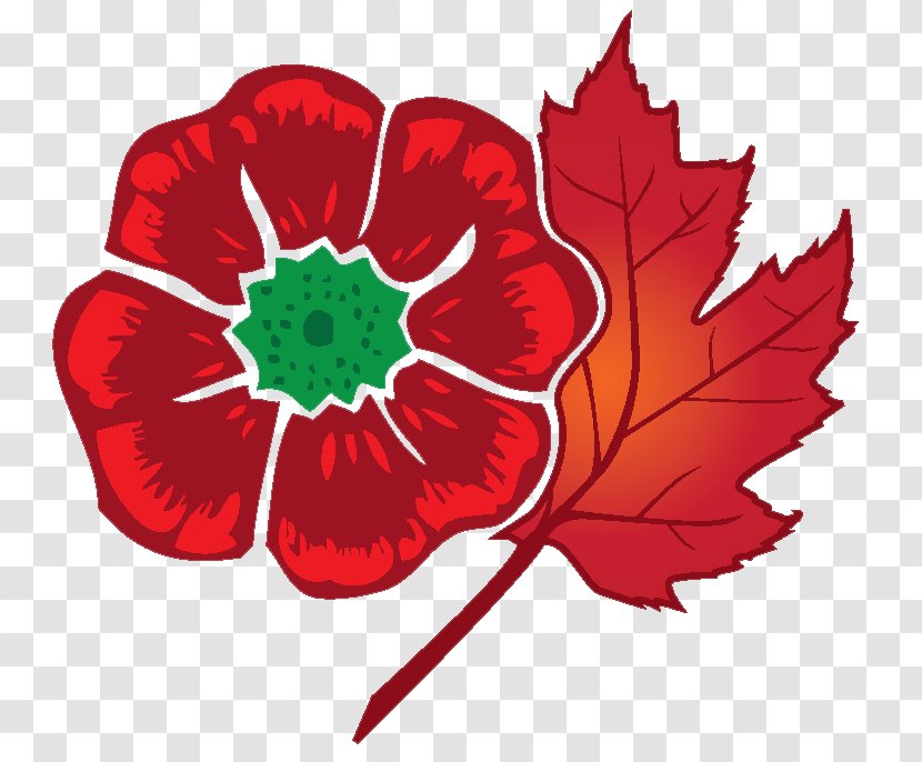 Golf Club Background - Curling - Anemone Poppy Family Transparent PNG