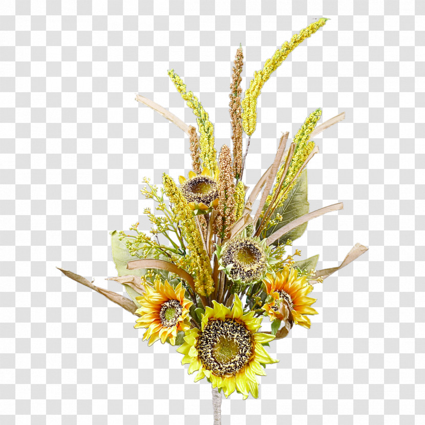 Floral Design Transparent PNG