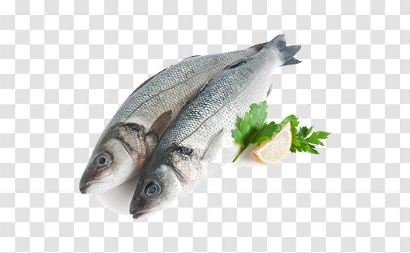 Fish Fish Fish Products Oily Fish Herring Transparent PNG