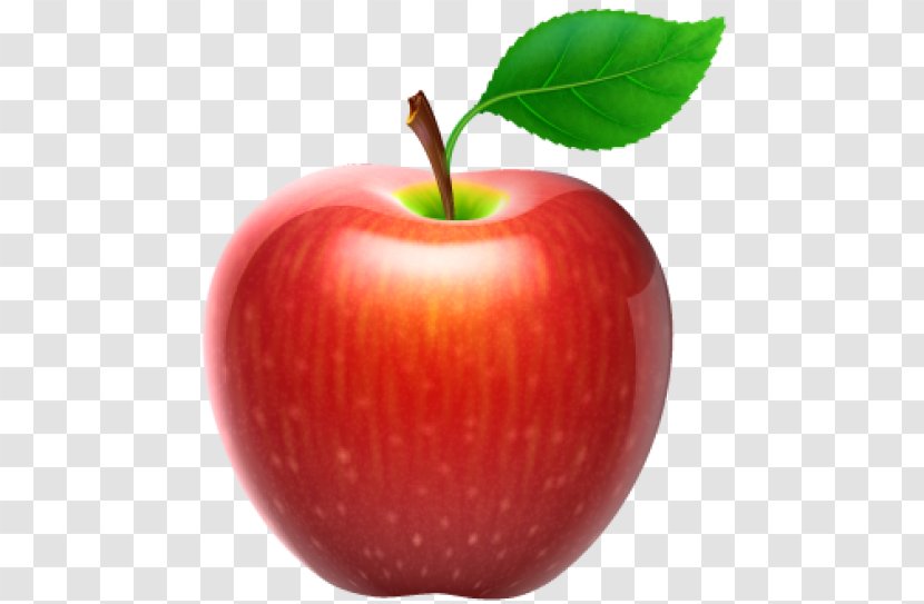 Apple Fruit Clip Art - Mcintosh Transparent PNG