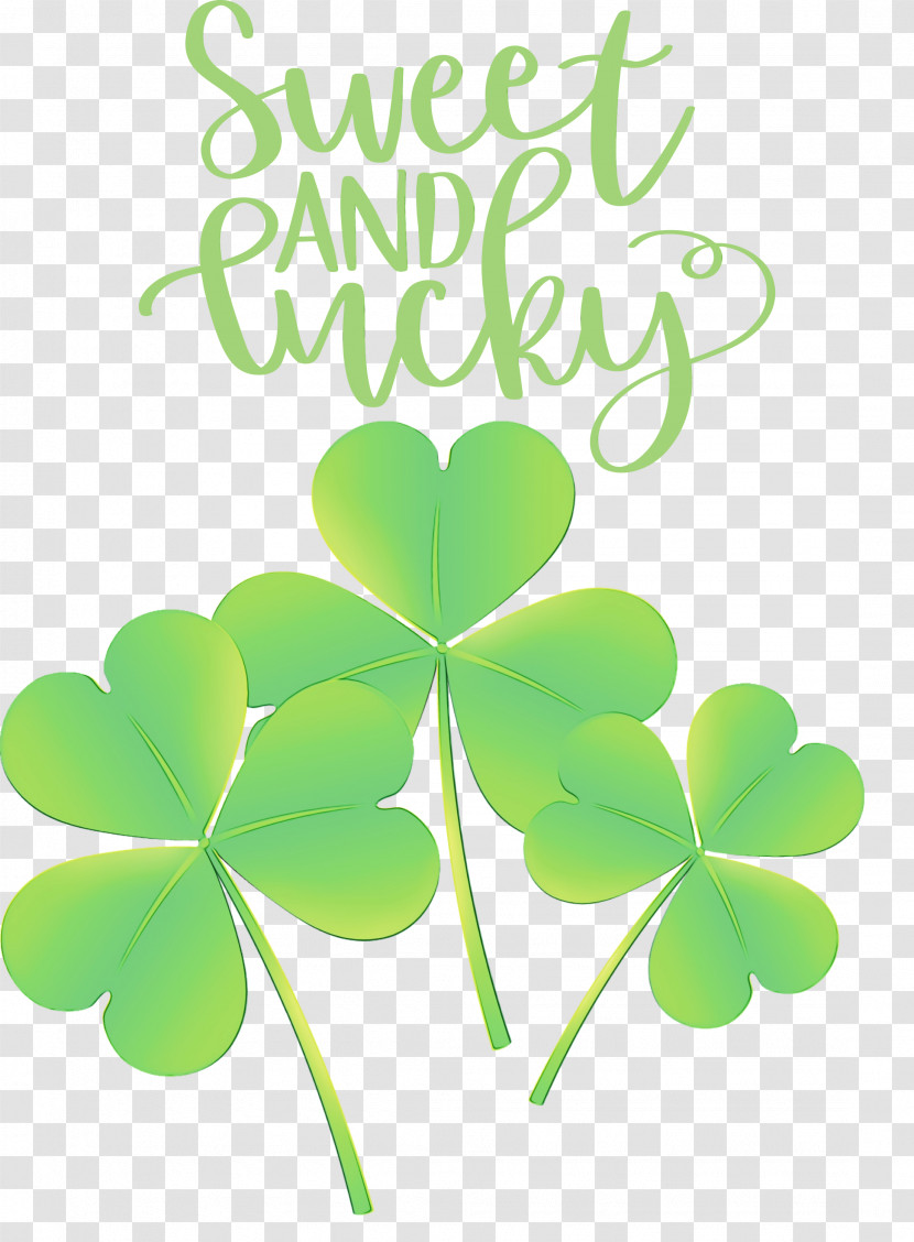 Shamrock Transparent PNG