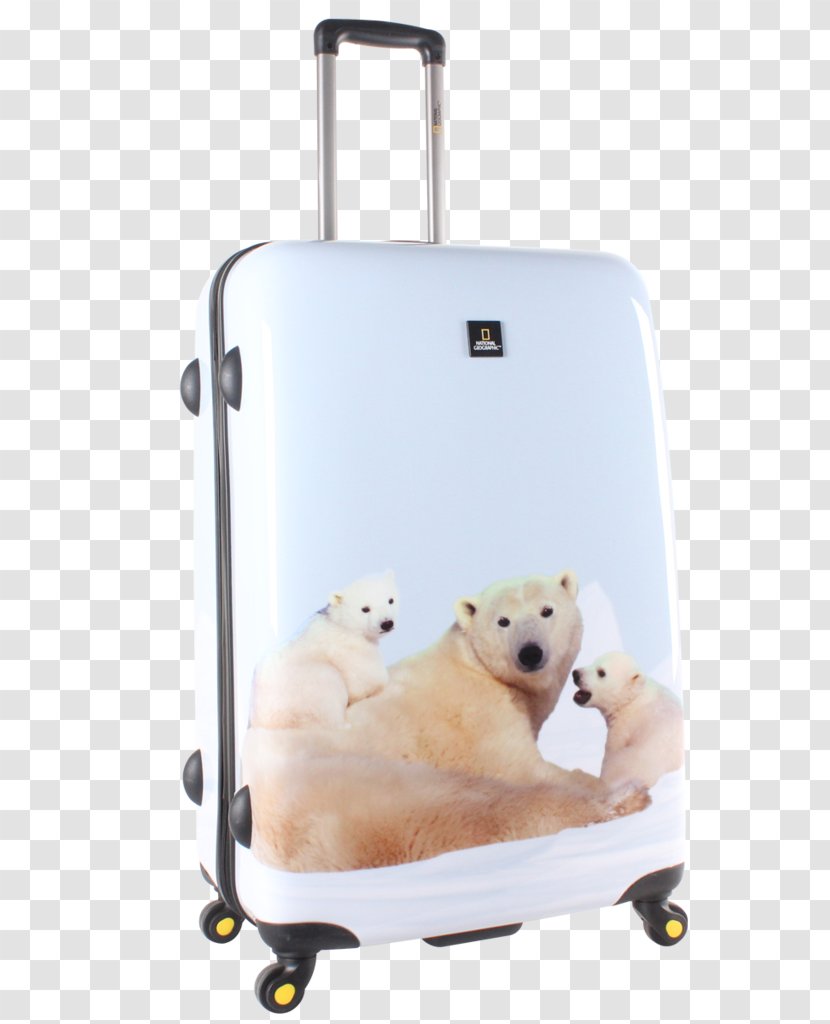 Polar Bear National Geographic Society Trolley Transparent PNG