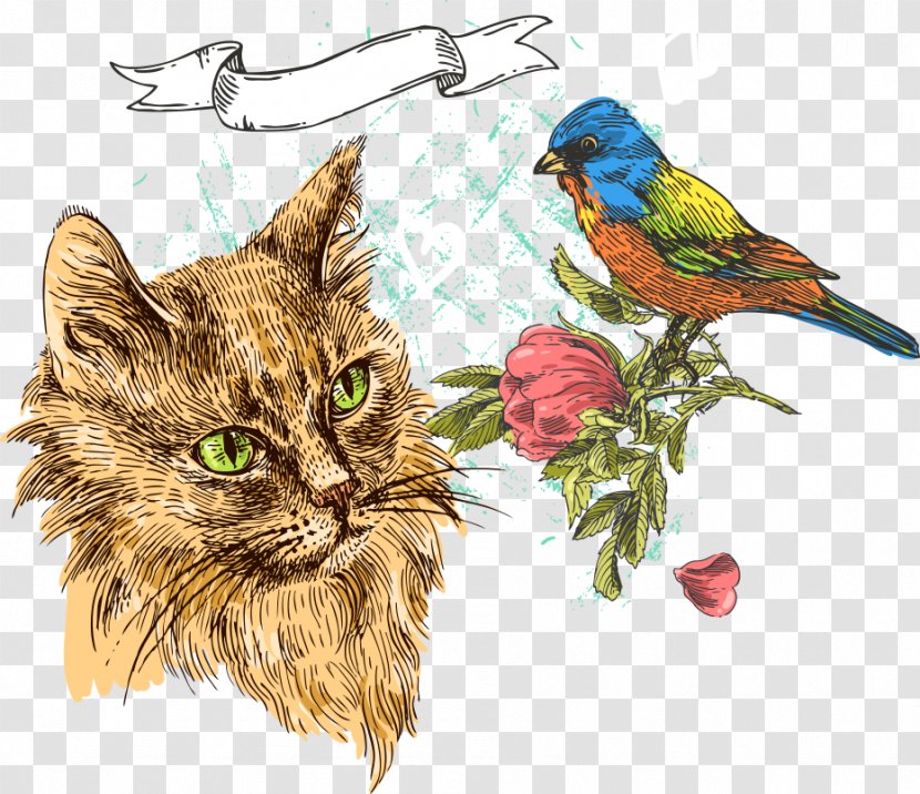 Cat Kitten Bird Illustration - Organism - Vector Birds And Kittens Transparent PNG