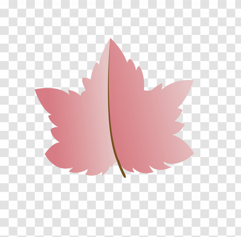 Leaf M-tree Petal Tree Plant Structure Transparent PNG