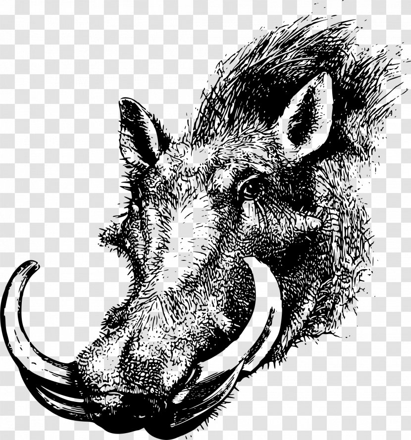 Common Warthog Wild Boar Fairchild Republic A-10 Thunderbolt II T-shirt Clip Art - Monochrome Photography - Elk Head Transparent PNG