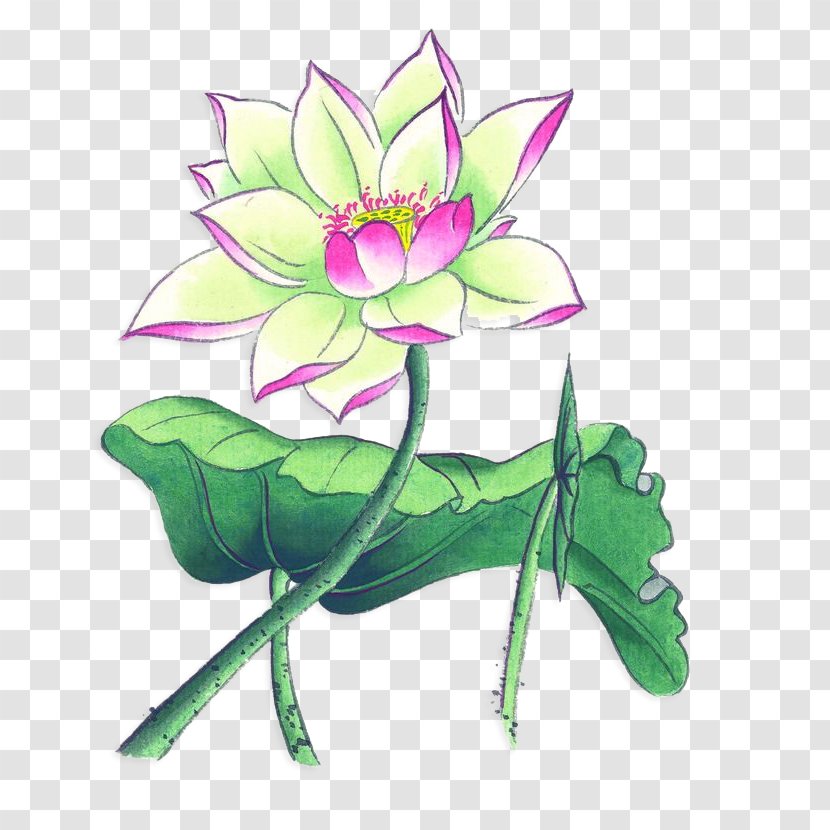 Nelumbo Nucifera Ink Wash Painting Chinese Watercolor - Flower Arranging - Hand-painted Lotus Transparent PNG