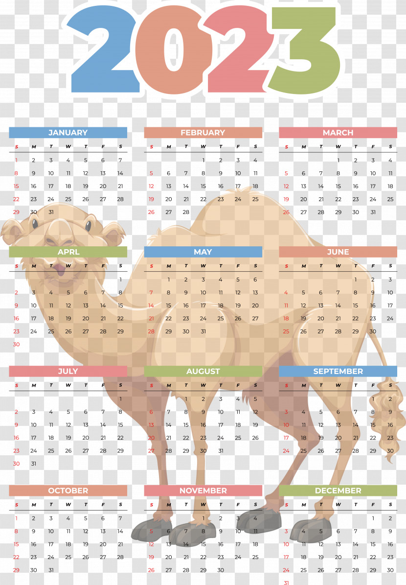 Icon Calendar Computer Vector Science Transparent PNG