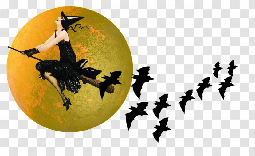 Wicked Witch Of The West Witchcraft Broom Clip Art - Moon Border Transparent PNG