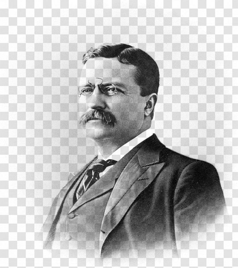 Theodore Roosevelt Sagamore Hill President Of The United States Quotation Republican Party - Chin - Teddy Transparent PNG