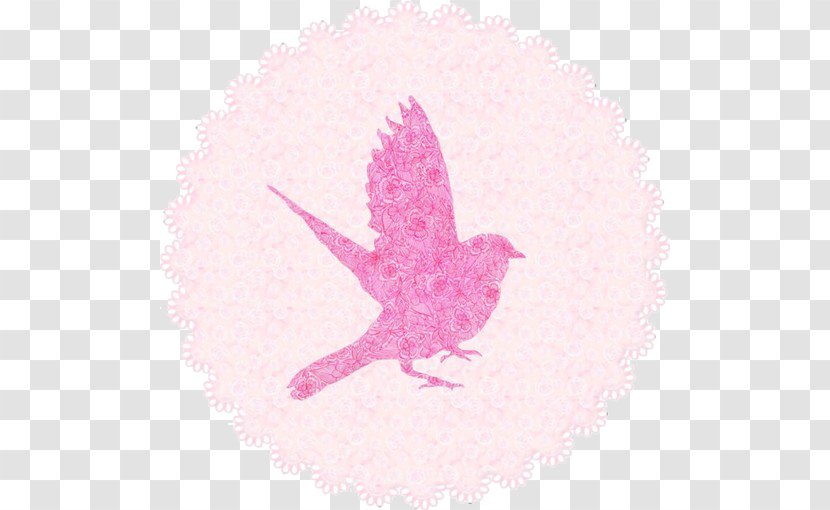 Bird Pink Pigeon Columbidae - Pigeons Transparent PNG