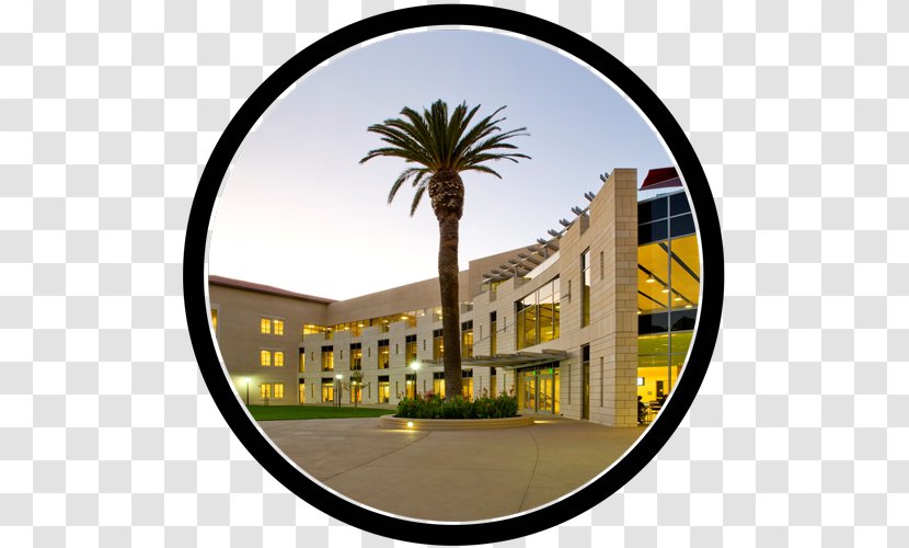 Santa Clara University SCU Leavey School Of Business California, Barbara Babson College - State System Transparent PNG