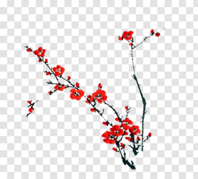 Red And White Plum Blossoms - Point Transparent PNG